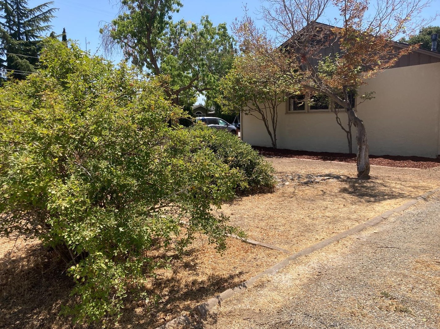 1451 Vale Ave, Campbell CA  95008-6412 exterior