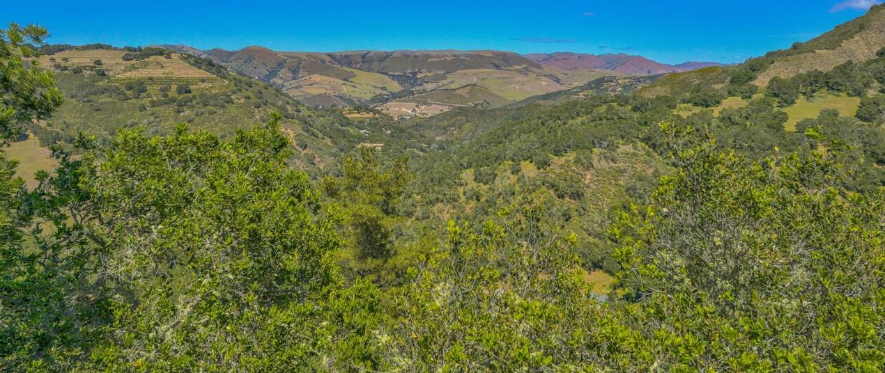 160 Hitchcock Cyn, Tassajara Hot Springs, CA 93924