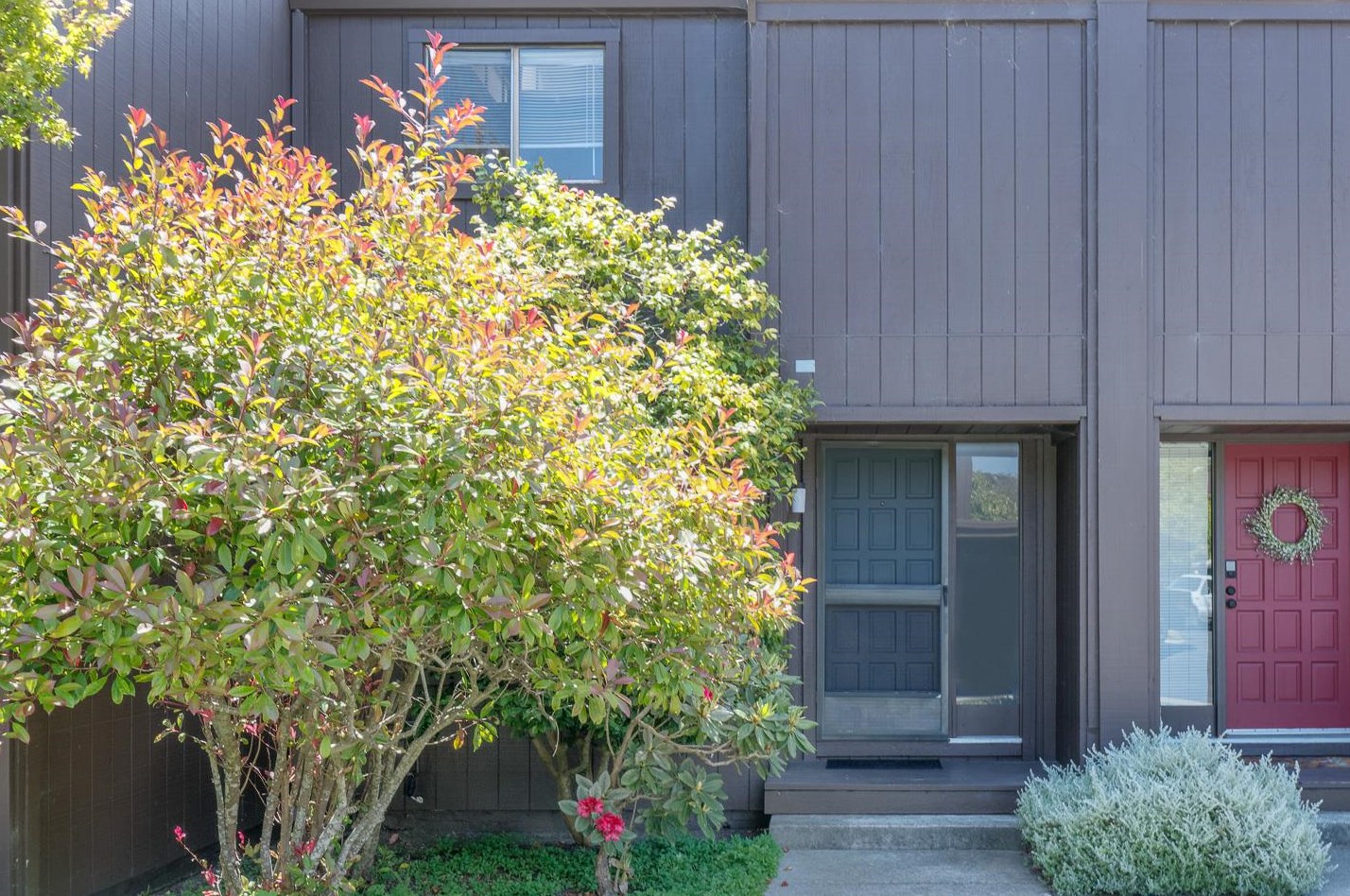 113 Tree Frog Ln, Santa Cruz, CA 95060-4804