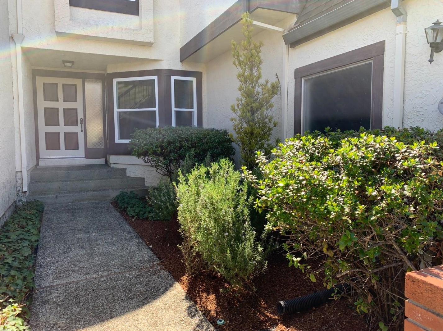 3409 Chris Ln, San Mateo, CA 94403