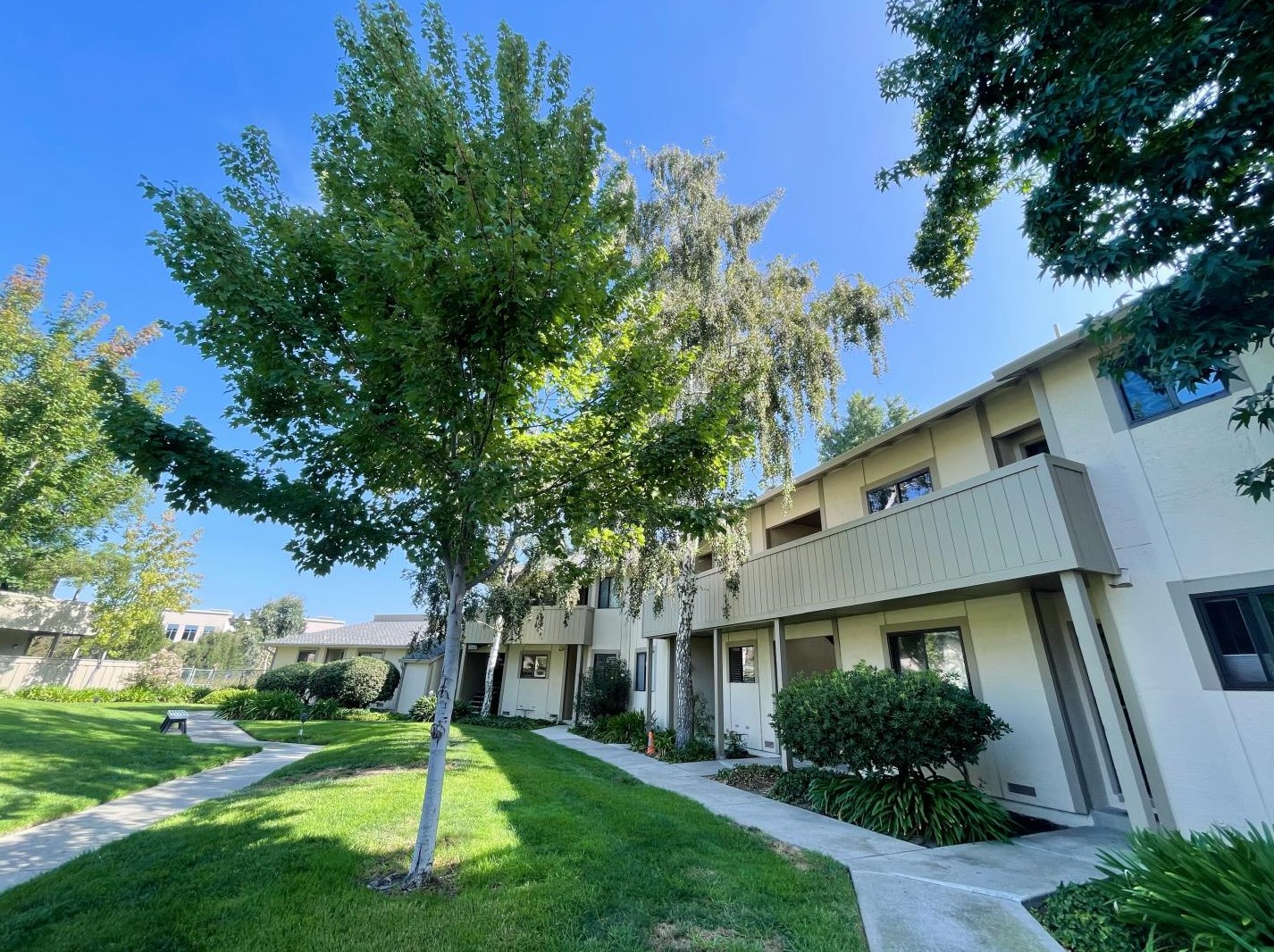 1116 N Abbott Ave, Milpitas, CA 95035