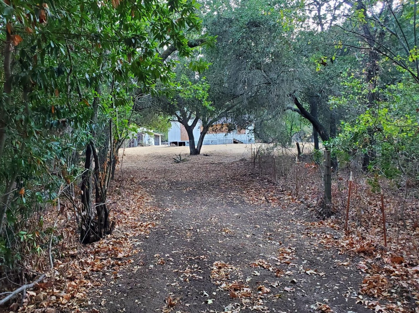 6389 Miller Ave, Gilroy, CA 95020