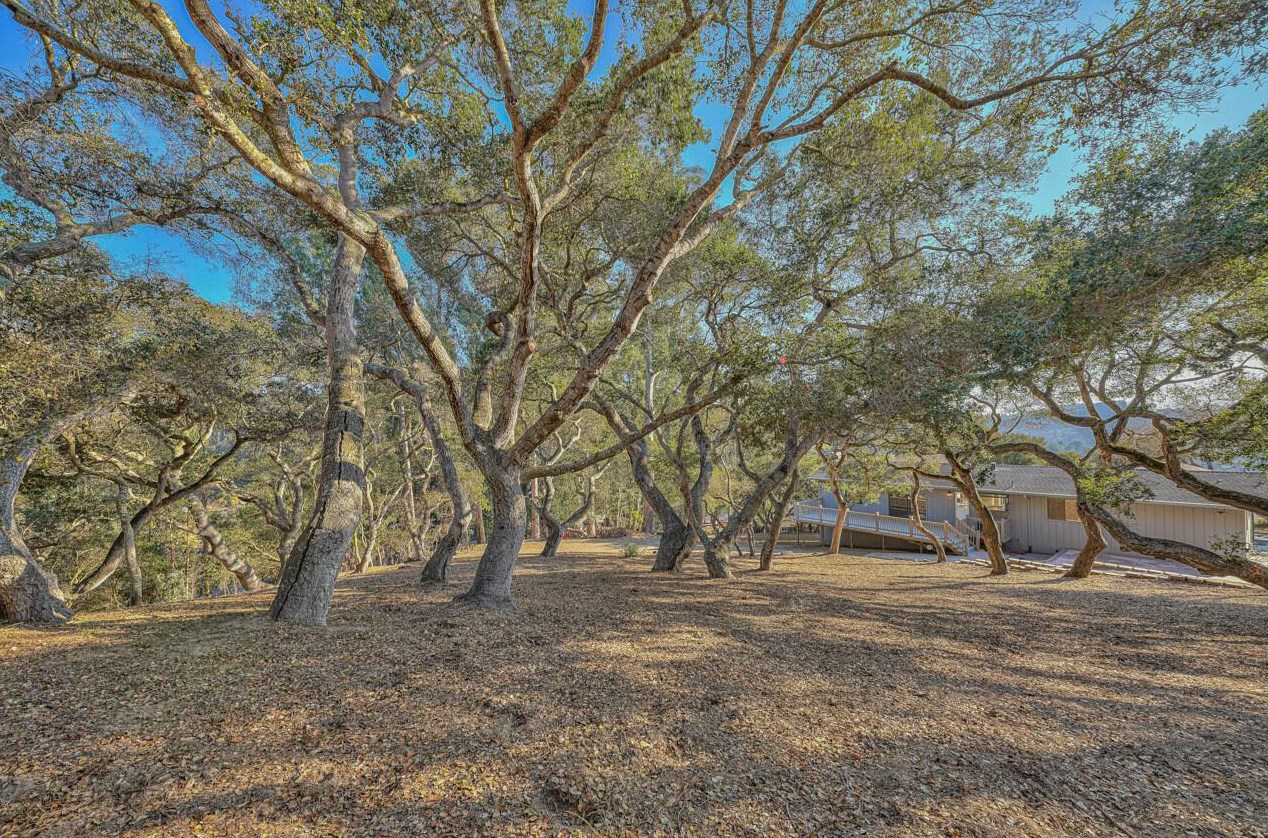 24 Pope Dr, Salinas, CA 93907-8430