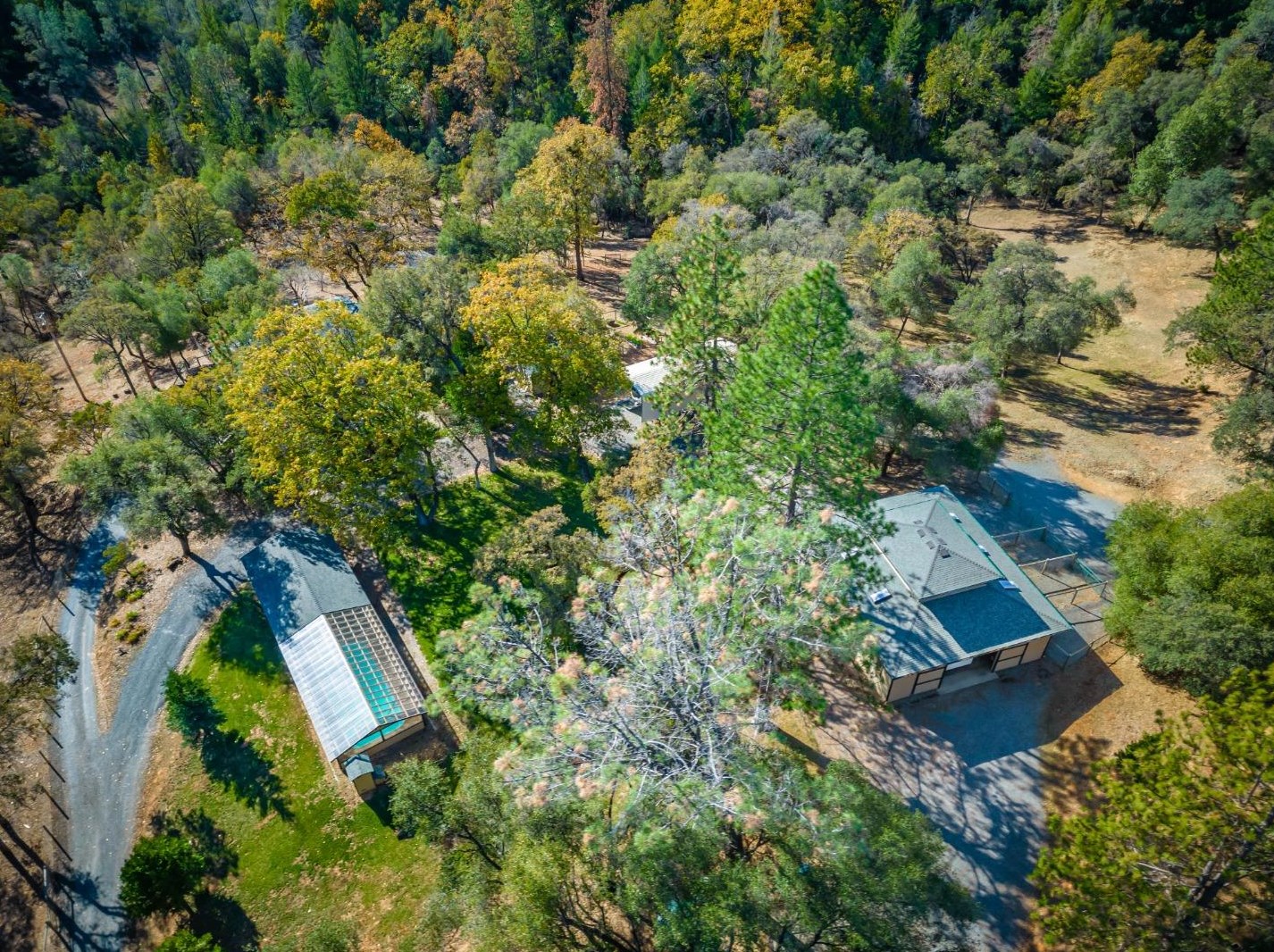 2550 Hoboken Creek Rd, Greenwood, CA 95635