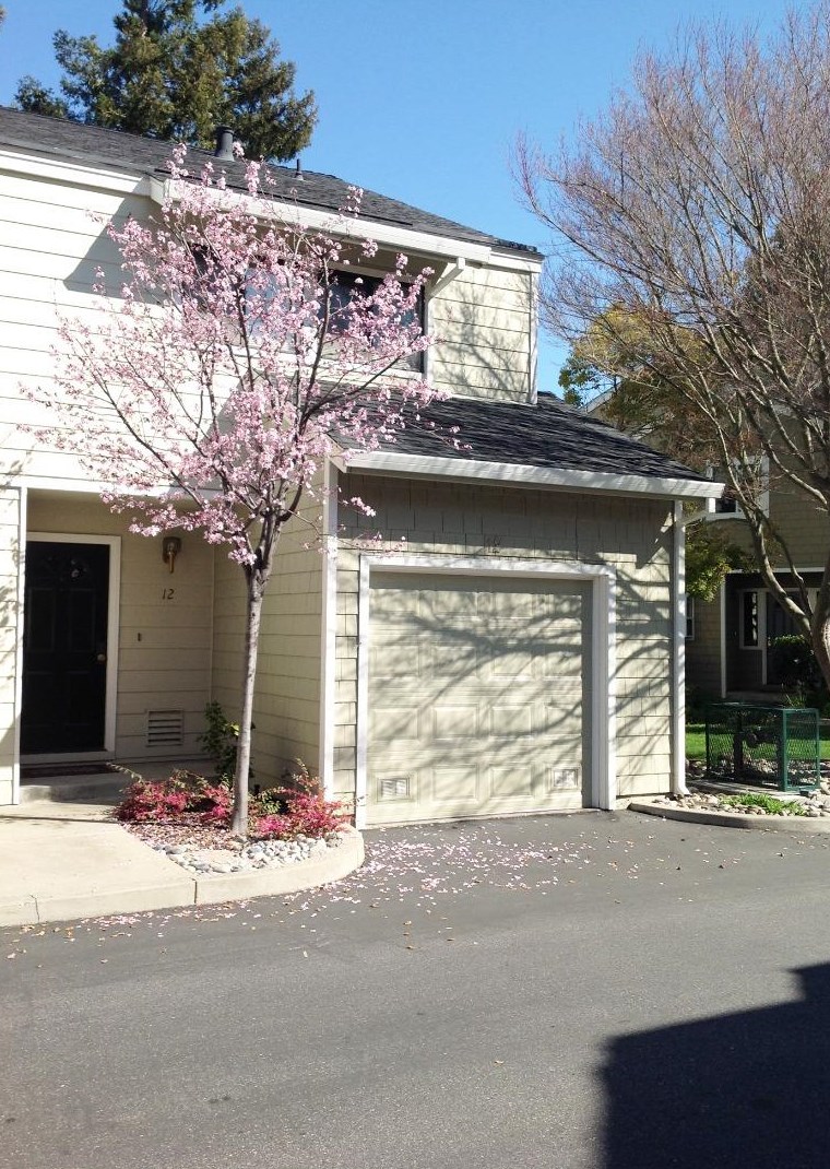181 Ada Ave #12, Mountain View, CA 94043
