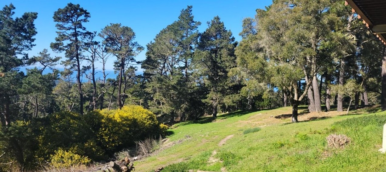 250 Forest Ridge Rd, Monterey CA  93940-4138 exterior