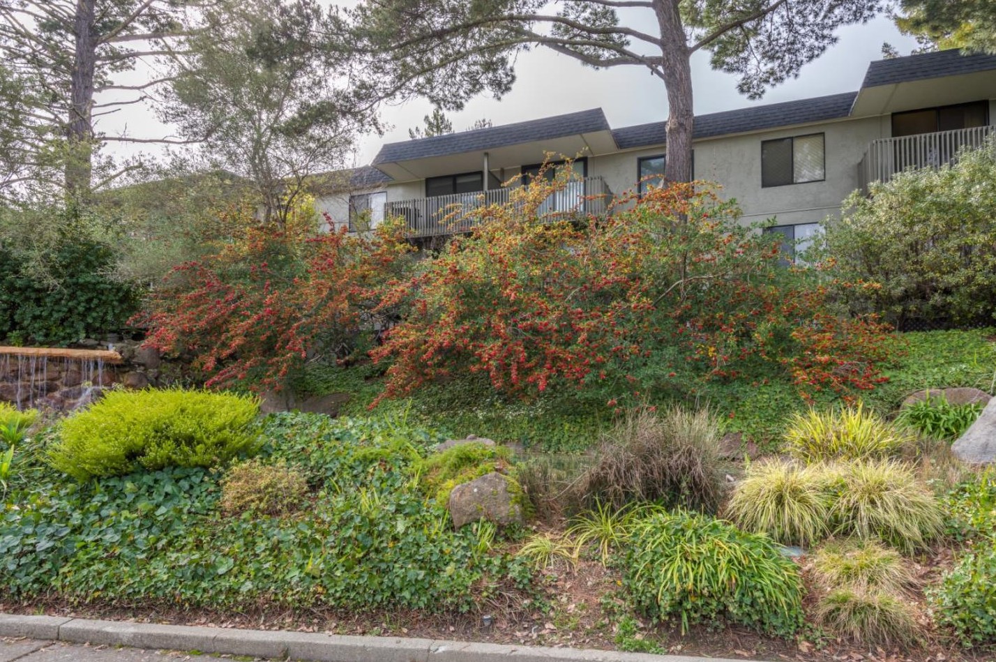 1223 Shelter Creek Ln, San Bruno, CA 94066
