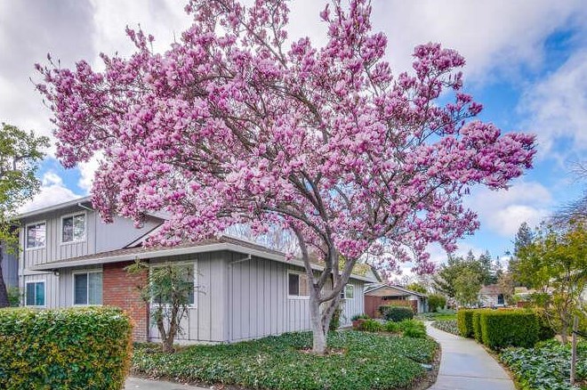 1127 Reed Ave B, Sunnyvale, CA 94086