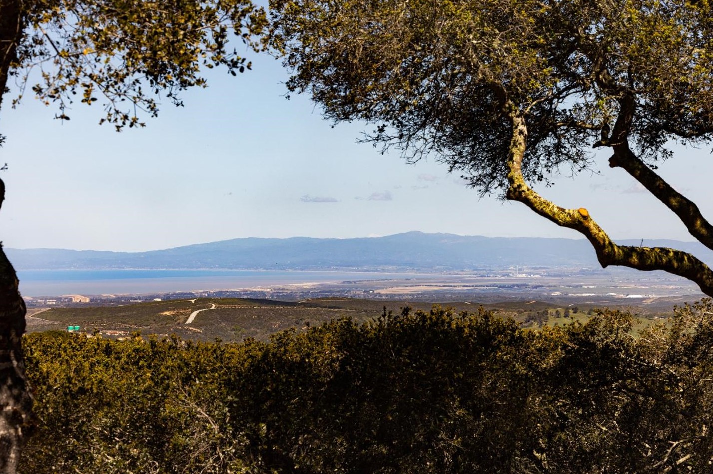 11975 Saddle Rd, Monterey, CA 93940