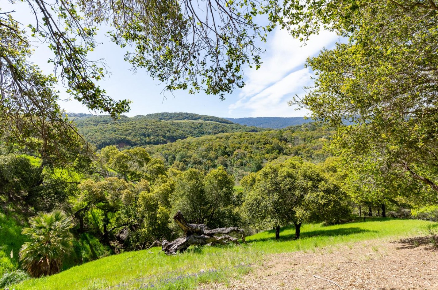 3358 La Mesa Dr 3, San Carlos, CA 94070