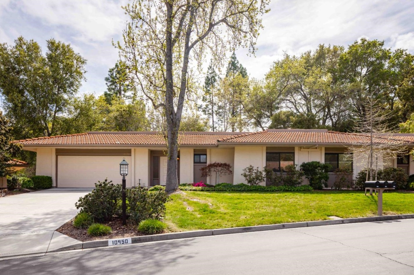 10950 Kester Dr, Cupertino, CA 95014-3916