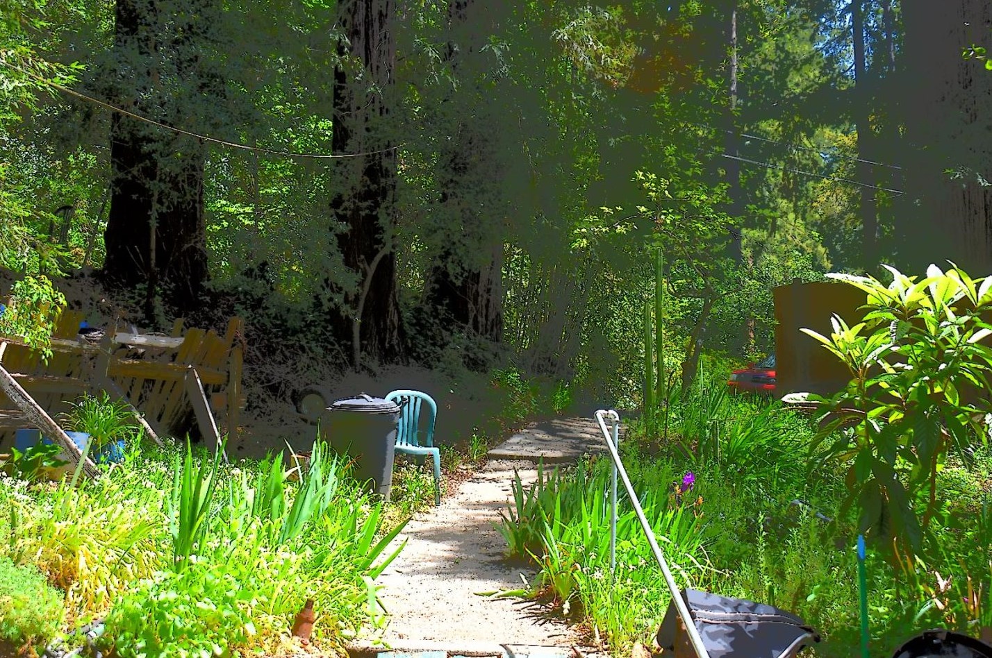 137 Margaret Dr, Big Basin, CA 95006