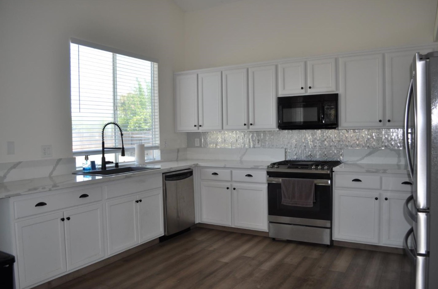 1697 Blush St, Manteca CA  95336-9238 exterior