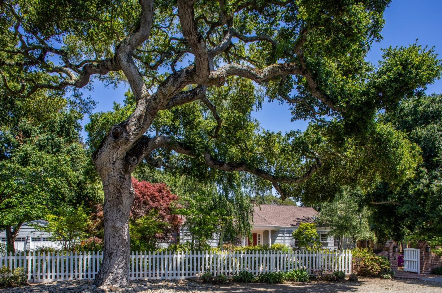 45 Fredrick Ave, Menlo Park, CA 94027-2203