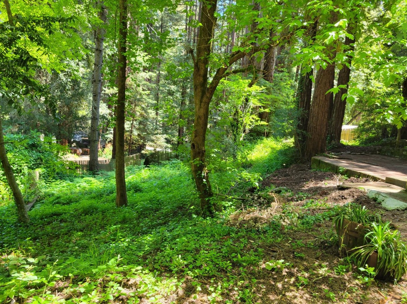 795 Hillcrest Dr, Felton, CA 95018