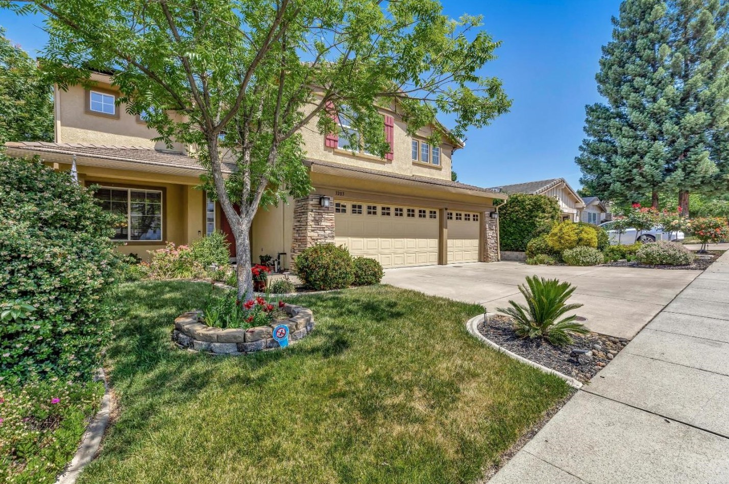 3203 Thistle Ct, Rocklin, CA 95765