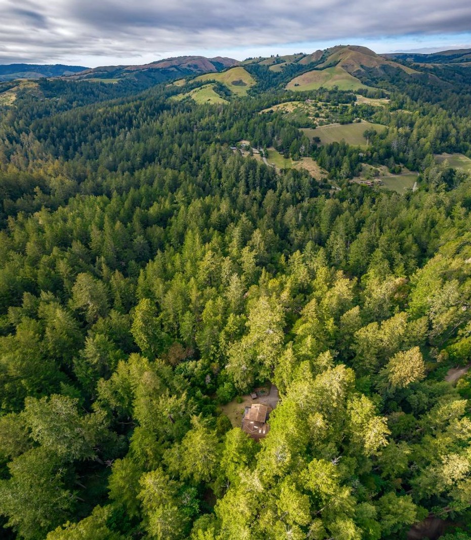 9700 Alpine Rd, La Honda, CA 94020