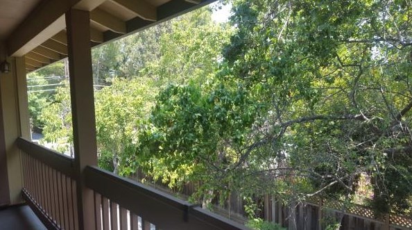 735 University Dr, Menlo Park CA  94025-4914 exterior