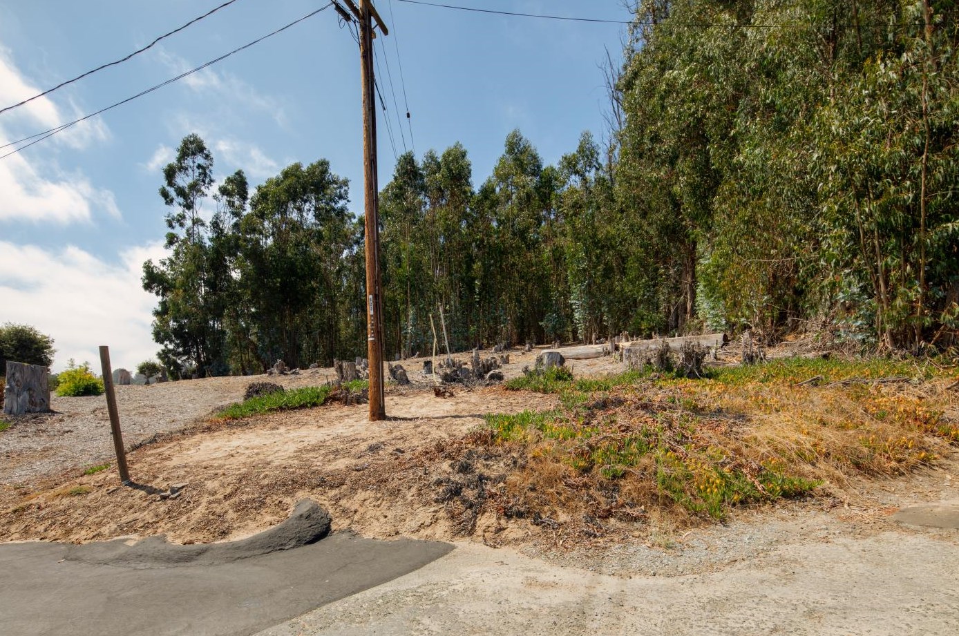 7600 Pine Tree Way, Salinas, CA 93907-8944