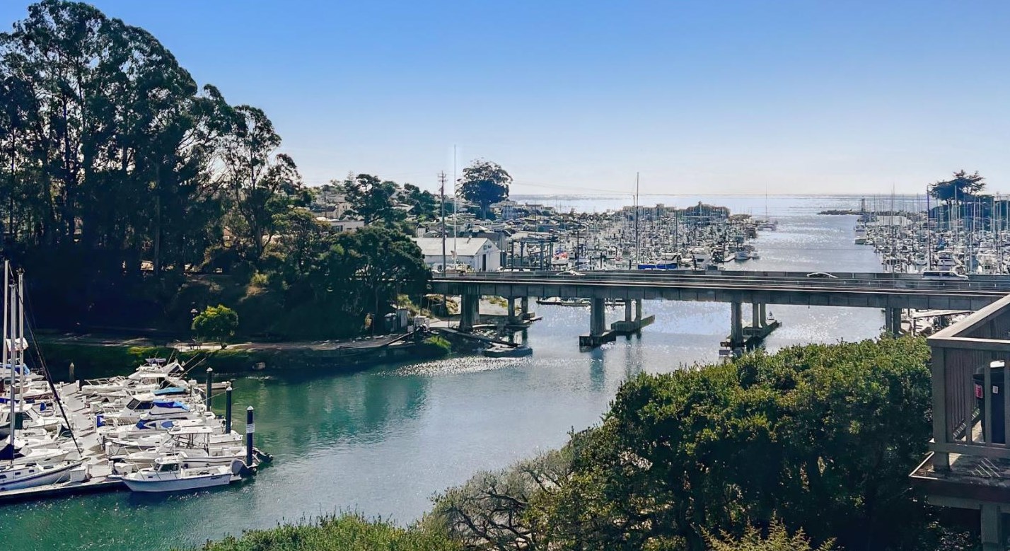 94 Frederick St, Santa Cruz, CA 95062-5906
