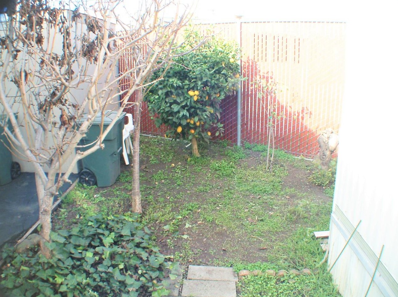 1201 Sycamore Ter, Sunnyvale CA  94086-8700 exterior
