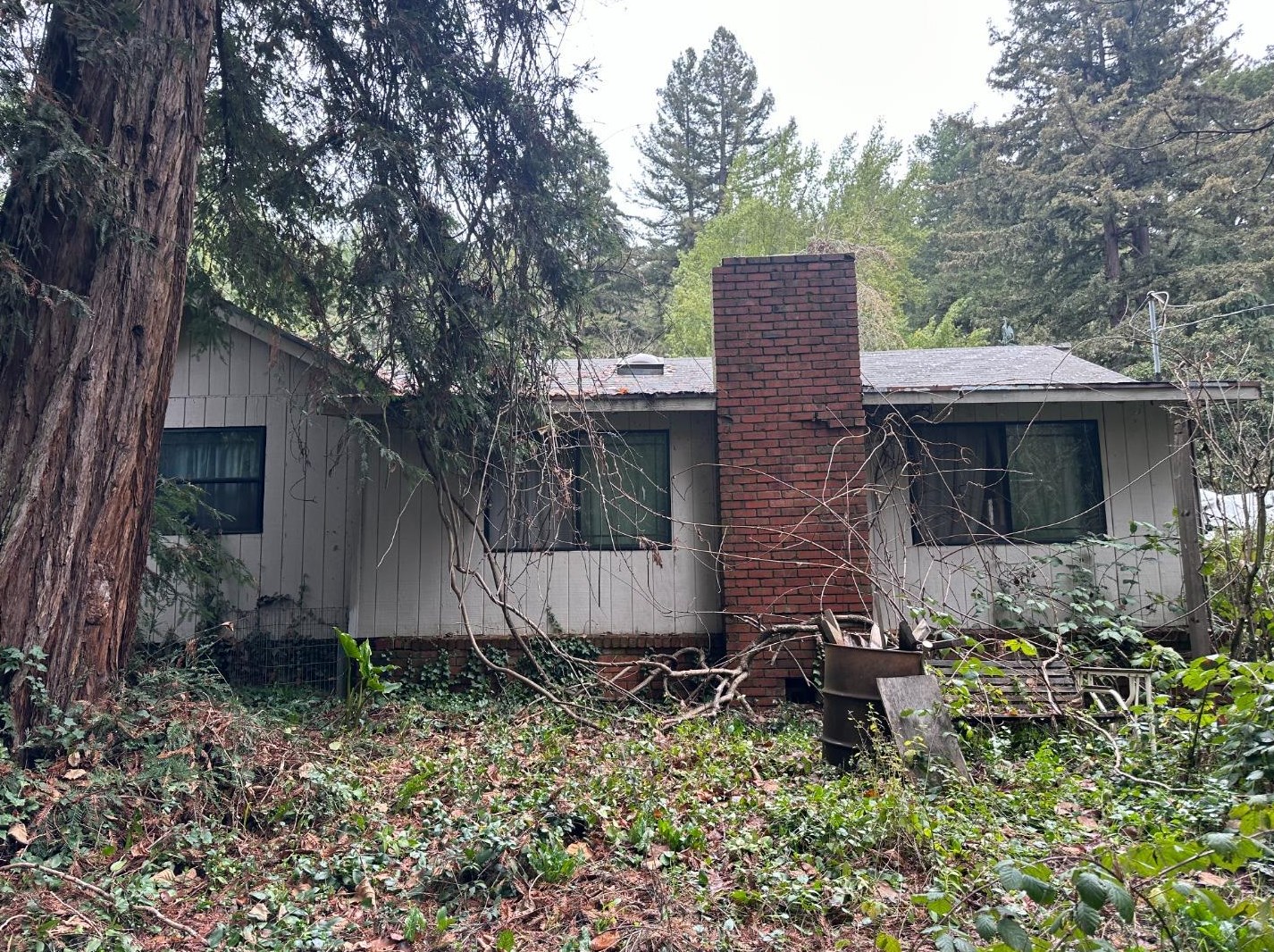 14445 W Park Ave, Big Basin, CA 95006
