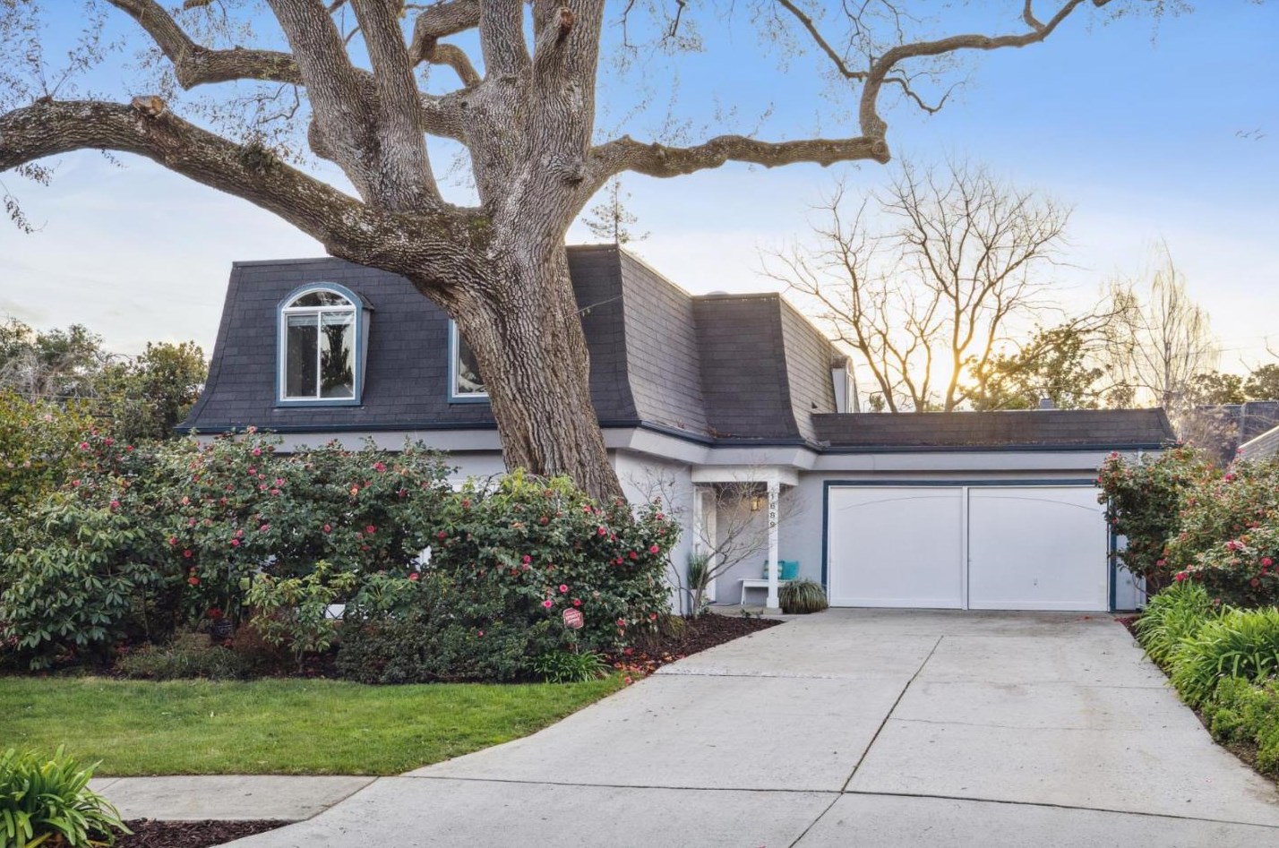 1689 Luika Pl, Campbell, CA 95008