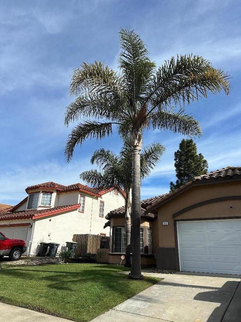 1227 De Cunha Ct, Salinas, CA 93906-5034