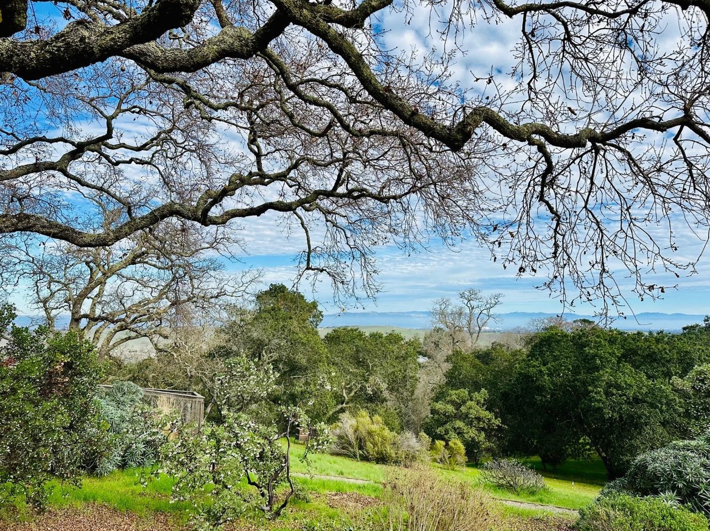332 Westridge Dr, Menlo Park, CA 94028-7717