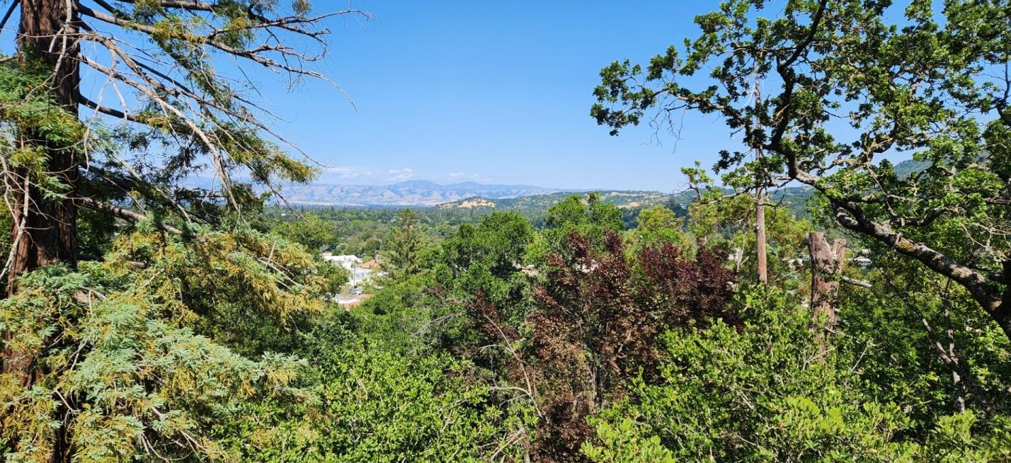 33 Clifton Ave, Los Gatos, CA 95030