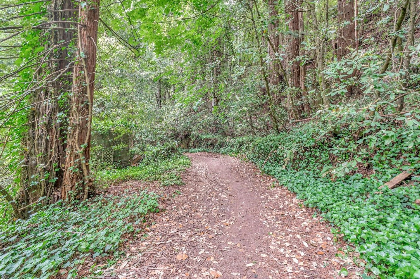 8040 La Honda Rd, La Honda, CA 94020