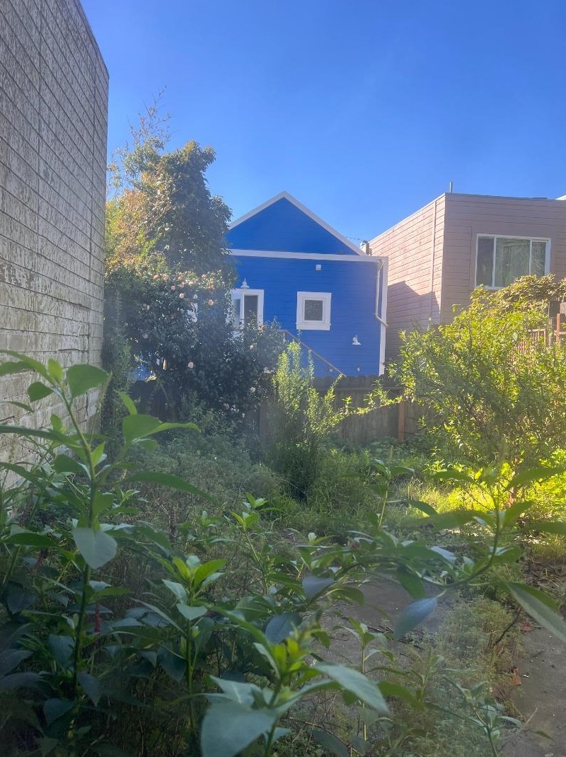 372 Moultrie St, San Francisco CA  94110-5619 exterior