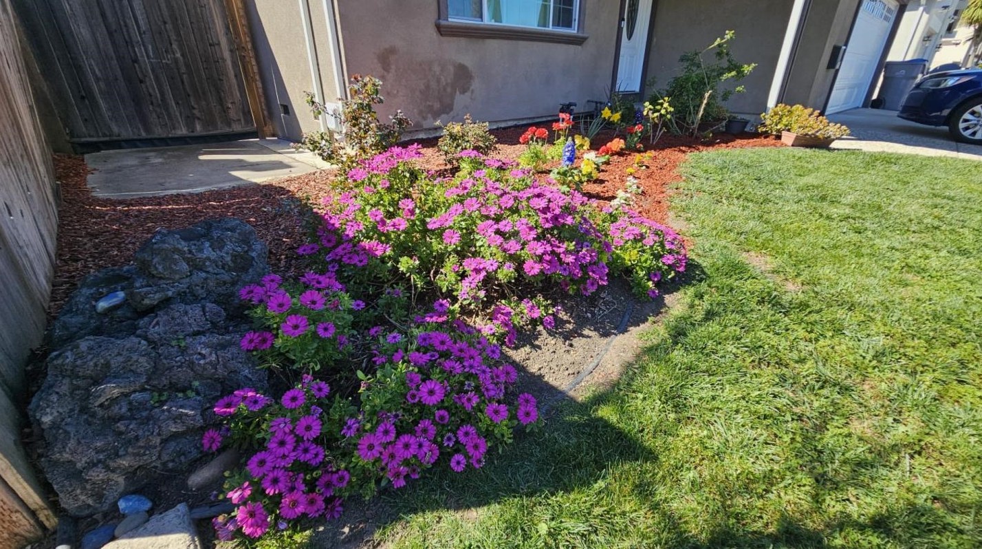 4691 Holycon Cir, San Jose, CA 95136