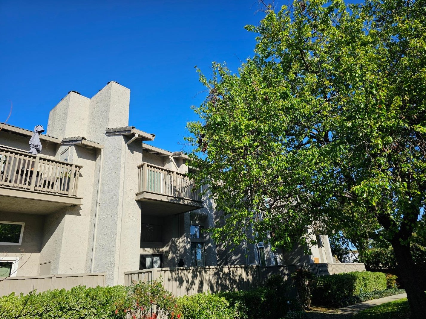 2290 Sun Glory Ln, San Jose, CA 95124-1465