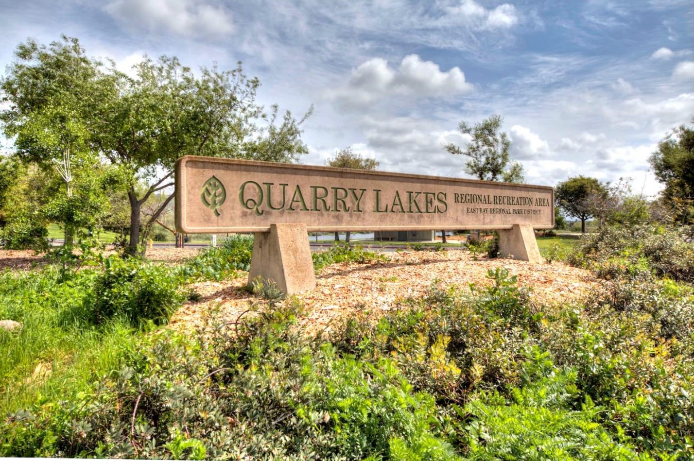 37155 Aspenwood Cmn, Fremont CA  94536-3684 exterior