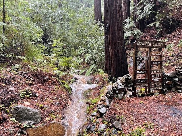 540 Quigg Way, Big Basin, CA 95006