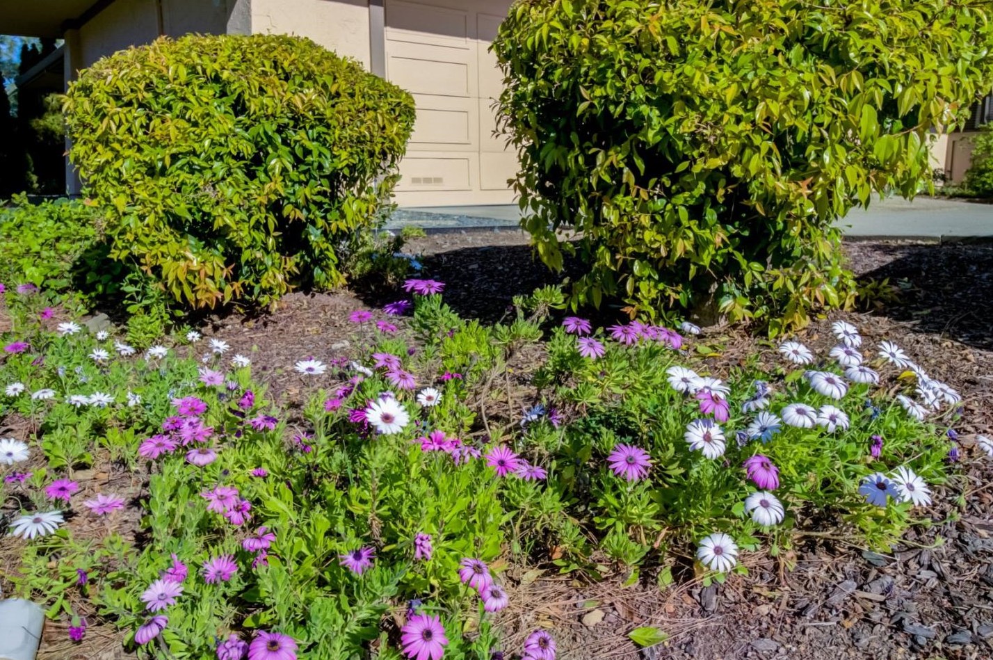 11012 Canyon Vista Dr, Cupertino CA  95014-5405 exterior
