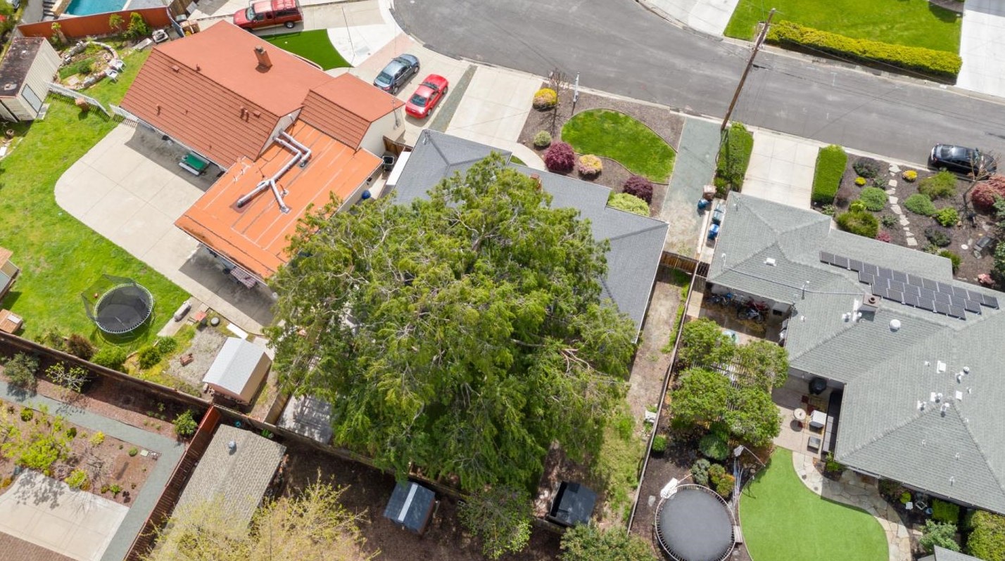 36 Mazie Dr, Concord CA  94523-3310 exterior