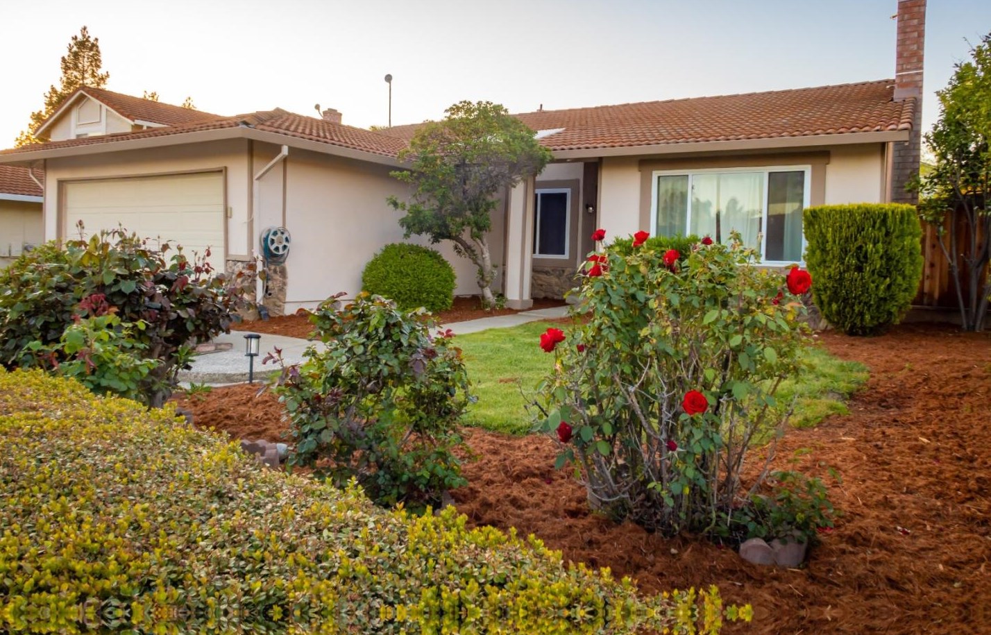 702 Topawa Dr, Fremont, CA 94539