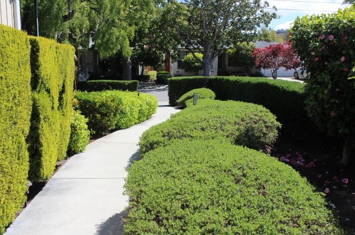 226 Sylvan Ave, San Mateo, CA 94403-3330