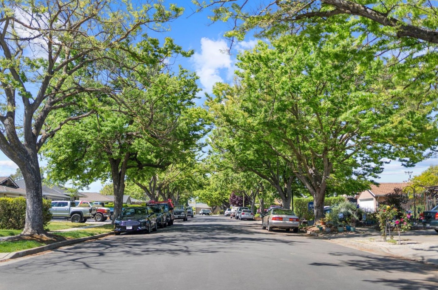 1429 Sprucewood Dr, San Jose, CA 95118-2944