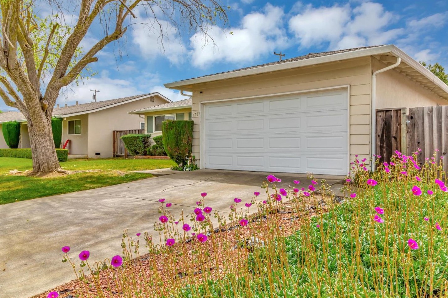 3783 Cefalu Dr, San Jose, CA 95124-3842