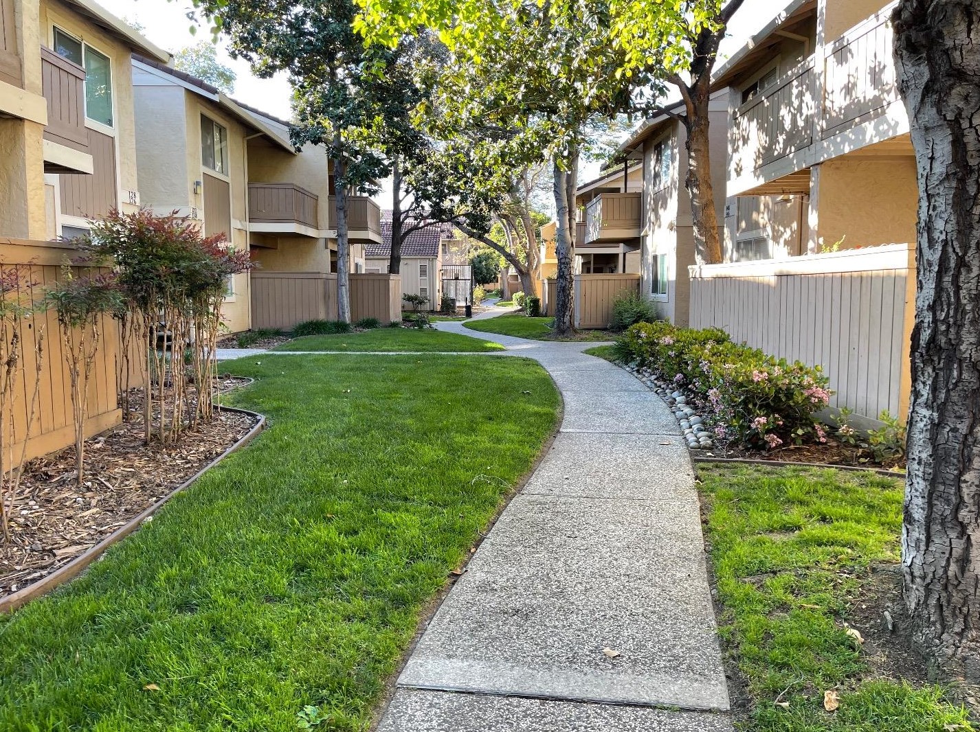 138 Damsen Dr, San Jose, CA 95116