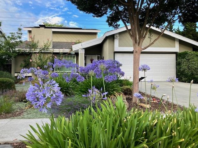 6514 Hercus Ct, San Jose CA  95119-1916 exterior