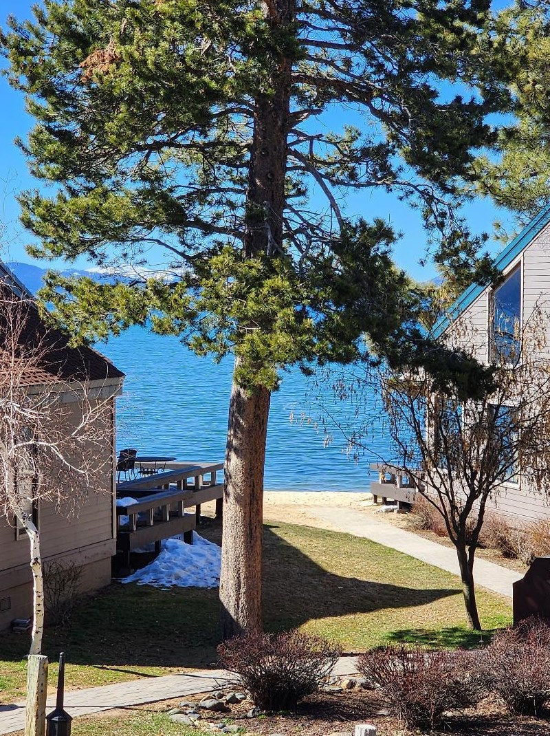 3535 Lake Tahoe Blvd #475, South Lake Tahoe, CA 96150
