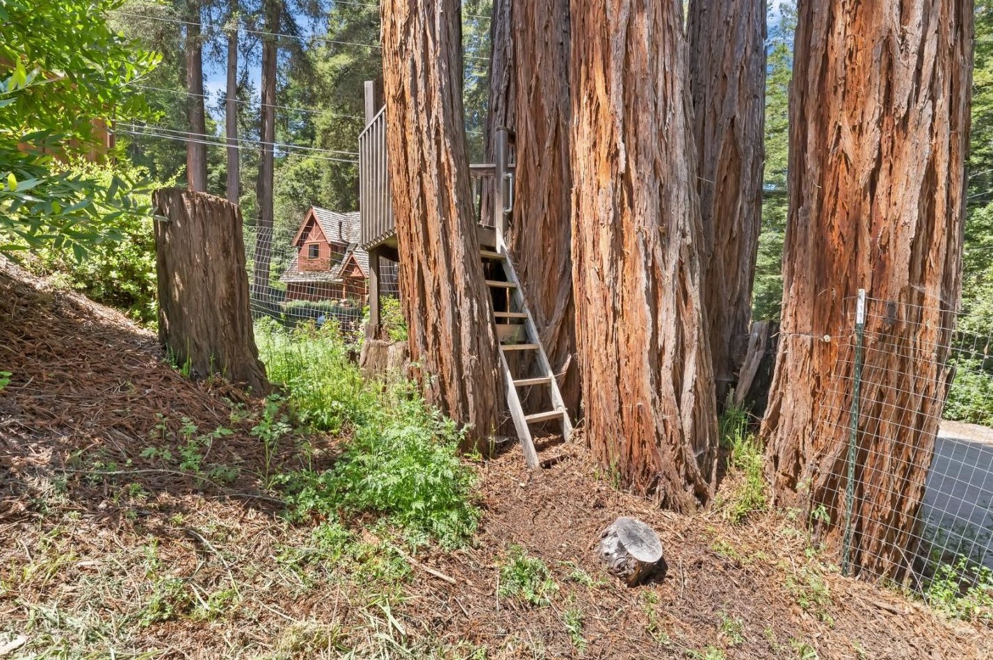 1767 Altamont Dr, Felton CA  95018-9510 exterior