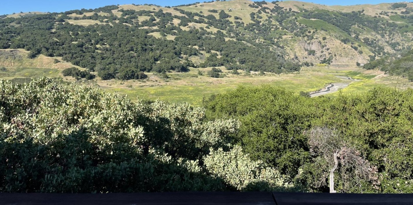 17240 Copper Hill Dr, Morgan Hill, CA 95037-6520