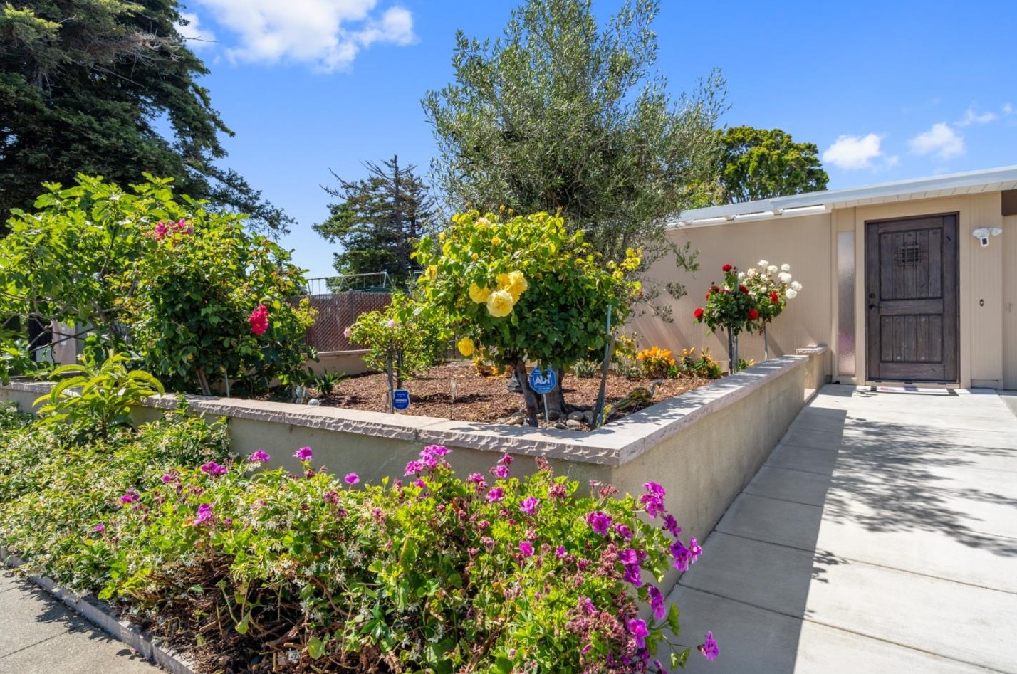 808 Gull Ave, San Mateo, CA 94404-1428