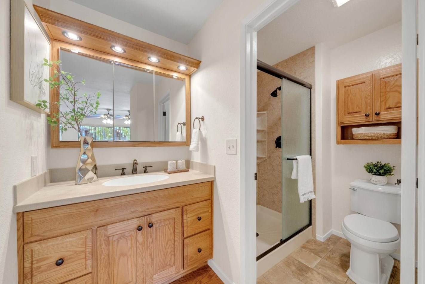 3005 La Terrace Cir, San Jose CA 95123-5315 exterior