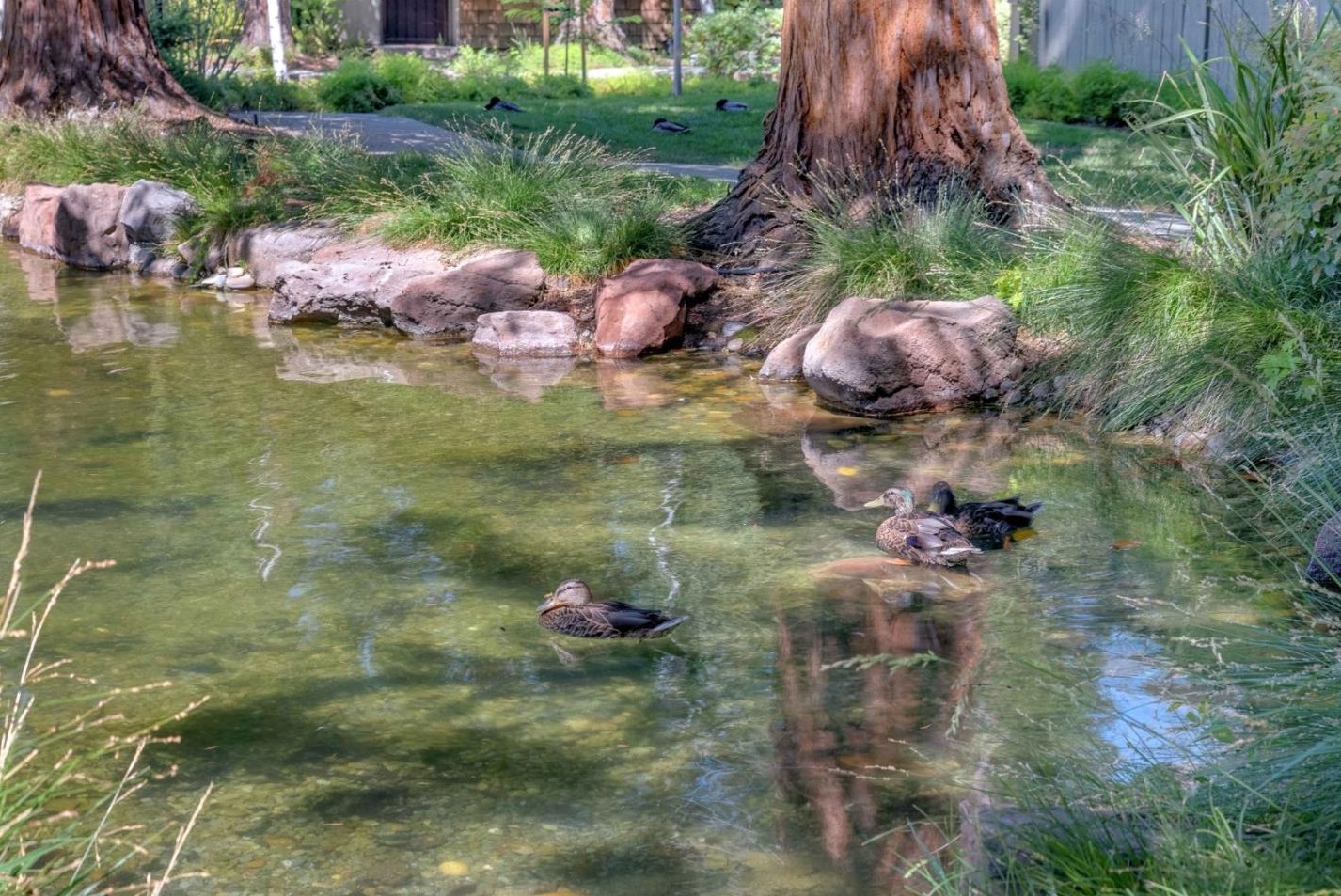 3005 La Terrace Cir, San Jose CA 95123-5315 exterior